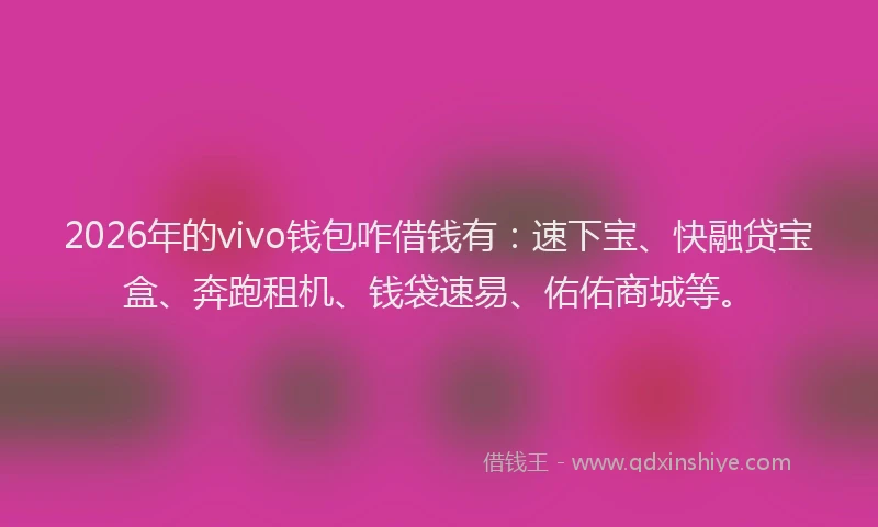2026年的vivo钱包咋借钱有：速下宝、快融贷宝盒、奔跑租机、钱袋速易、佑佑商城等。