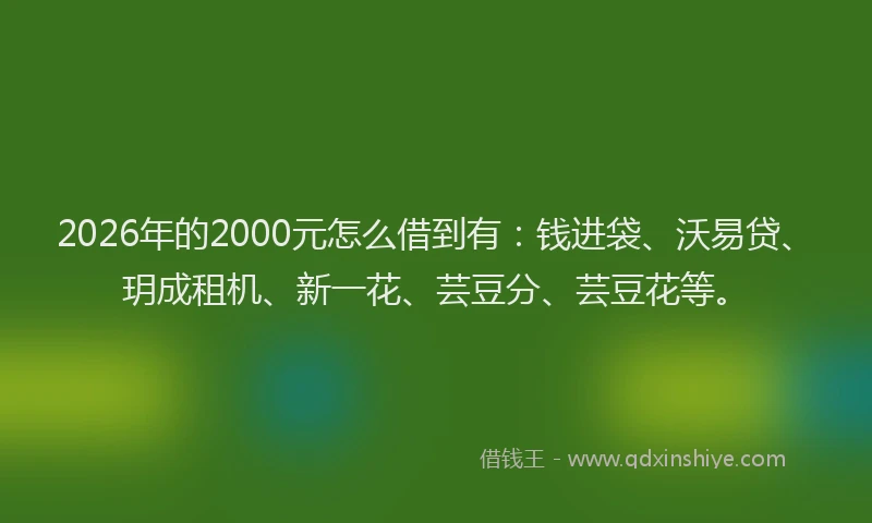 2026年的2000元怎么借到有：钱进袋、沃易贷、玥成租机、新一花、芸豆分、芸豆花等。