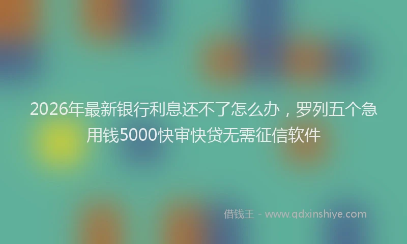 2026年最新银行利息还不了怎么办，罗列五个急用钱5000快审快贷无需征信软件