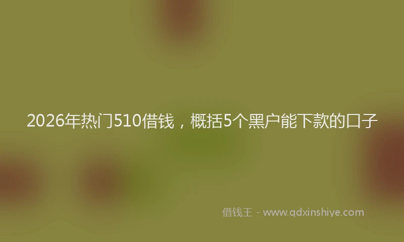 2026年热门510借钱，概括5个黑户能下款的口子