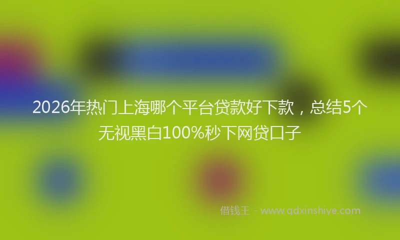 2026年热门上海哪个平台贷款好下款，总结5个无视黑白100%秒下网贷口子
