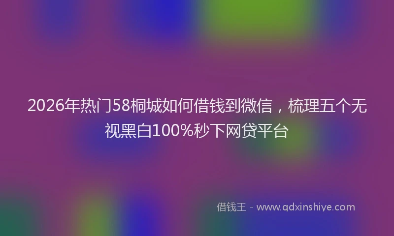 2026年热门58桐城如何借钱到微信，梳理五个无视黑白100%秒下网贷平台