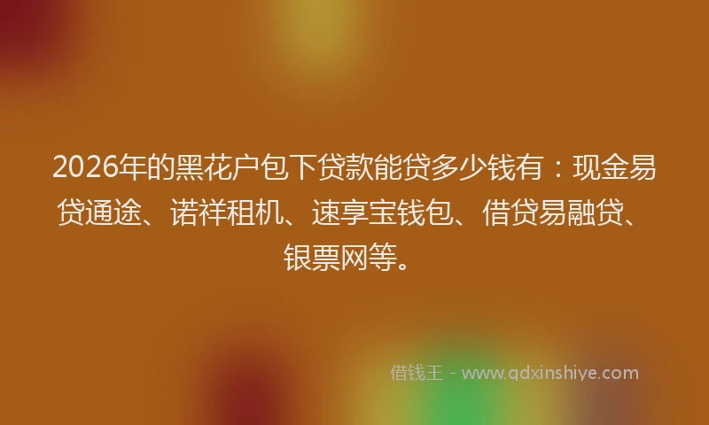 2026年的黑花户包下贷款能贷多少钱有：现金易贷通途、诺祥租机、速享宝钱包、借贷易融贷、银票网等。