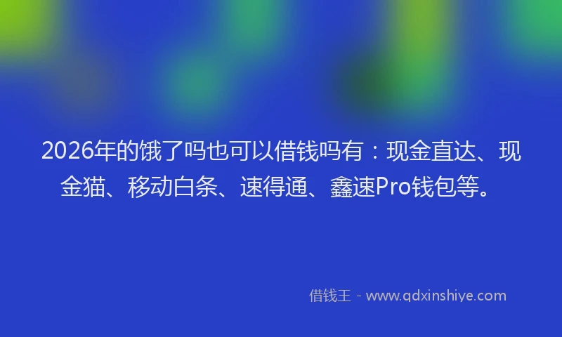2026年的饿了吗也可以借钱吗有：现金直达、现金猫、移动白条、速得通、鑫速Pro钱包等。