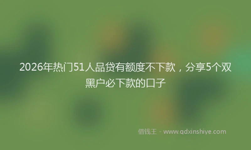 2026年热门51人品贷有额度不下款，分享5个双黑户必下款的口子