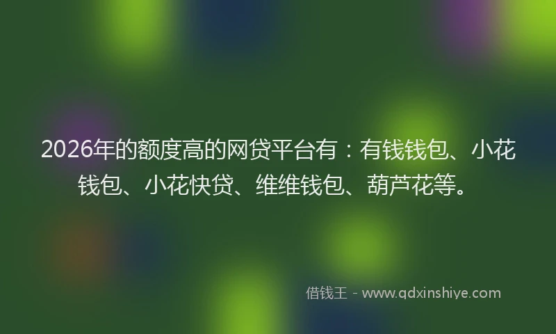 2026年的额度高的网贷平台有：有钱钱包、小花钱包、小花快贷、维维钱包、葫芦花等。