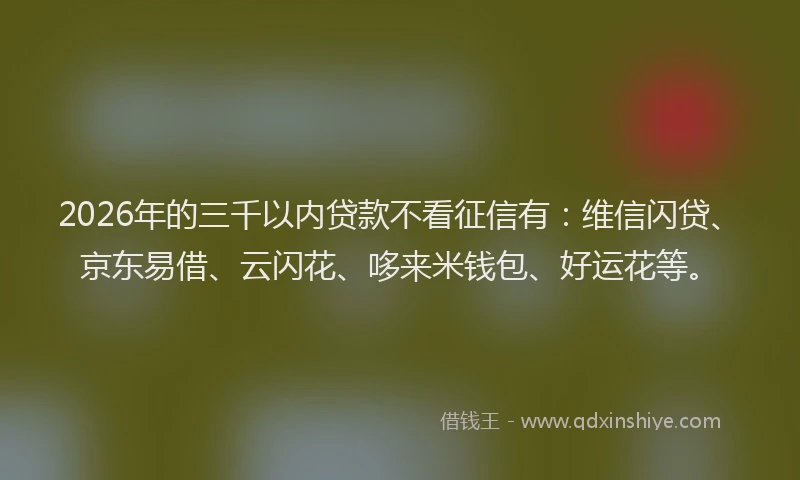 2026年的三千以内贷款不看征信有：维信闪贷、京东易借、云闪花、哆来米钱包、好运花等。