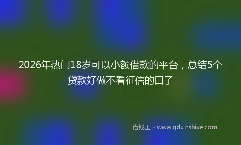 2026年热门18岁可以小额借款的平台，总结5个贷款好做不看征信的口子