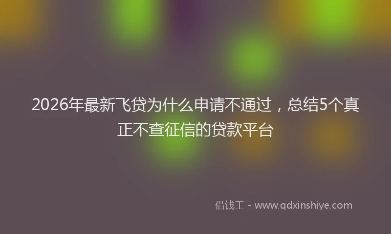 2026年最新飞贷为什么申请不通过，总结5个真正不查征信的贷款平台
