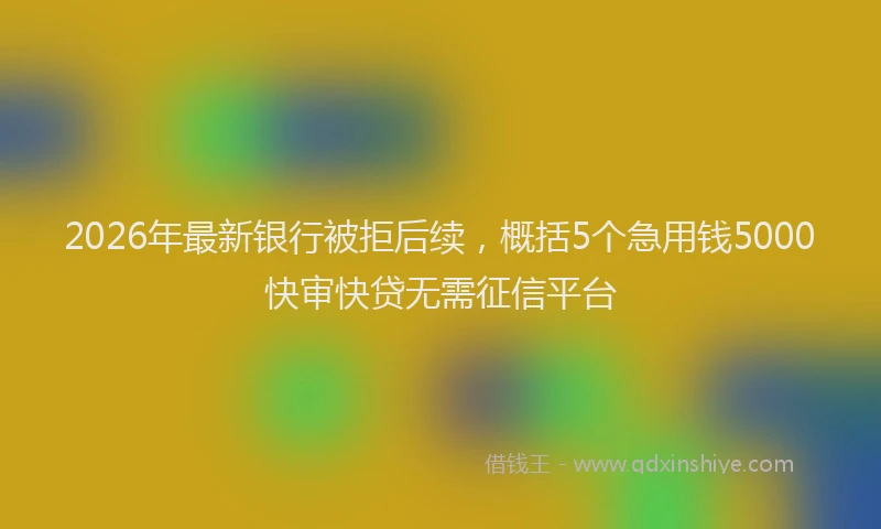 2026年最新银行被拒后续，概括5个急用钱5000快审快贷无需征信平台