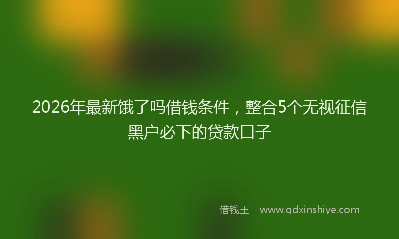 2026年最新饿了吗借钱条件，整合5个无视征信黑户必下的贷款口子
