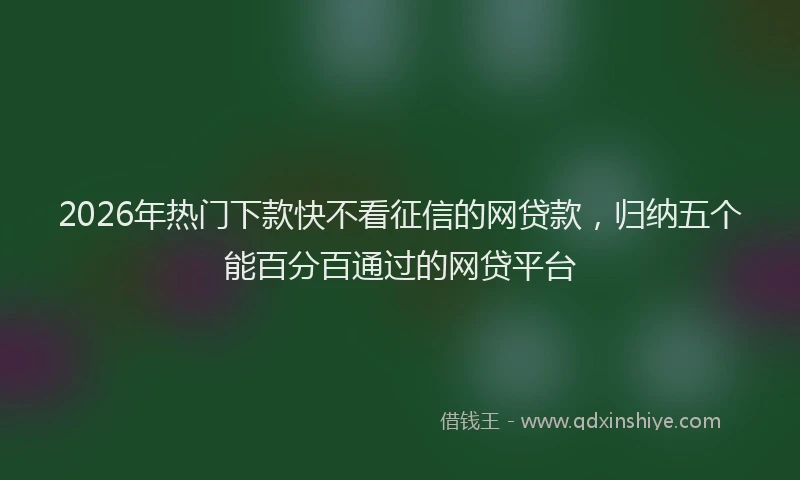 2026年热门下款快不看征信的网贷款，归纳五个能百分百通过的网贷平台