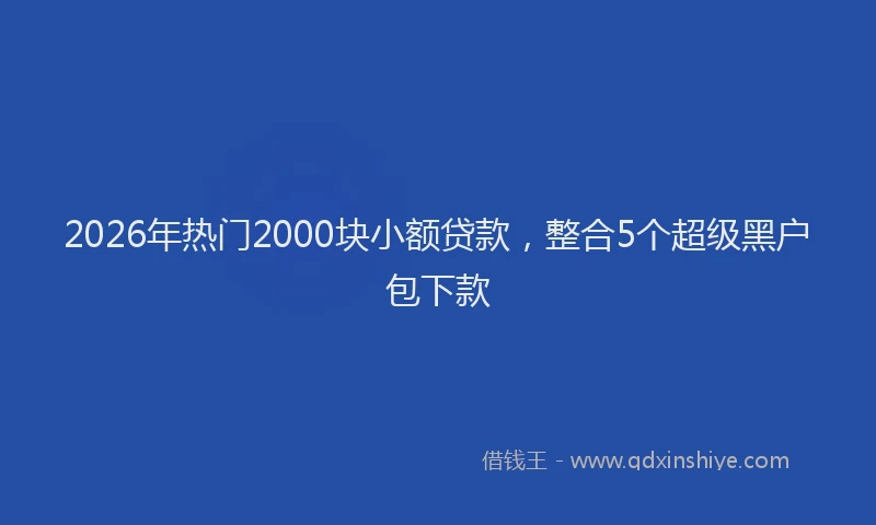 2026年热门2000块小额贷款，整合5个超级黑户包下款