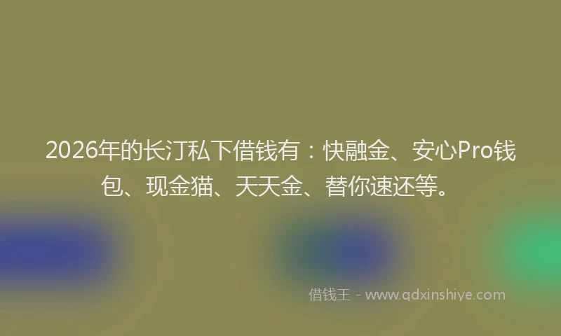 2026年的长汀私下借钱有：快融金、安心Pro钱包、现金猫、天天金、替你速还等。