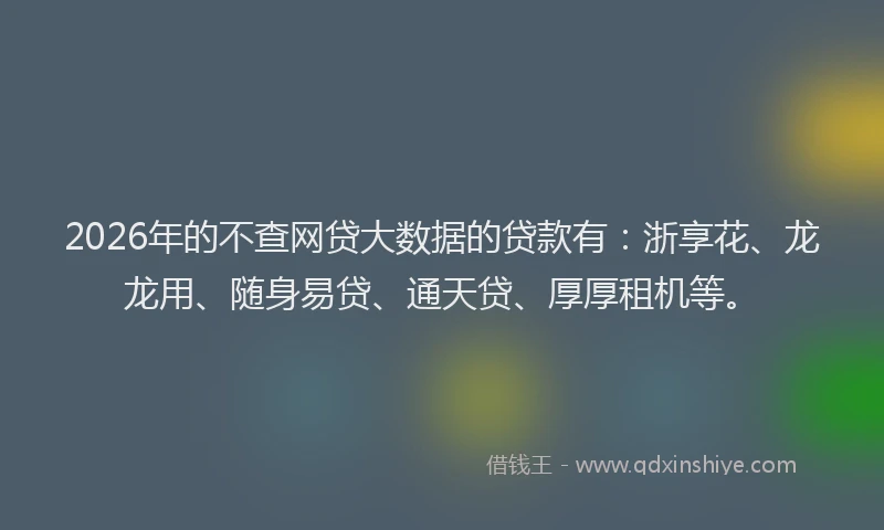 2026年的不查网贷大数据的贷款有：浙享花、龙龙用、随身易贷、通天贷、厚厚租机等。