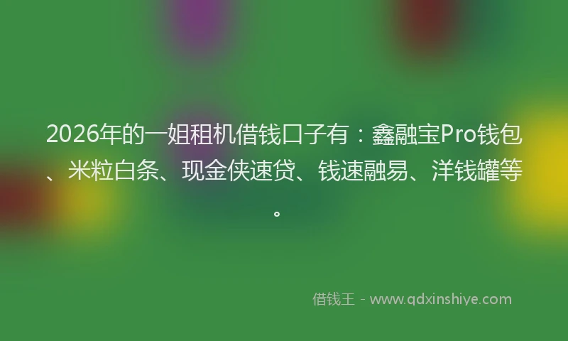 2026年的一姐租机借钱口子有：鑫融宝Pro钱包、米粒白条、现金侠速贷、钱速融易、洋钱罐等。