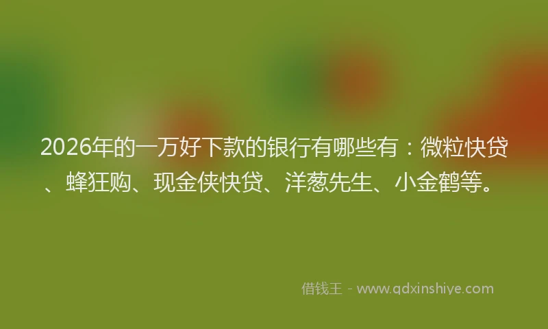 2026年的一万好下款的银行有哪些有：微粒快贷、蜂狂购、现金侠快贷、洋葱先生、小金鹤等。