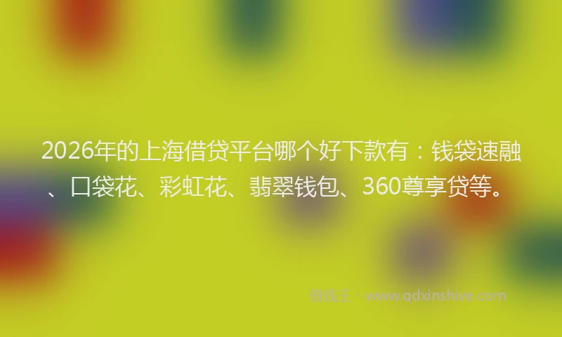 2026年的上海借贷平台哪个好下款有：钱袋速融、口袋花、彩虹花、翡翠钱包、360尊享贷等。