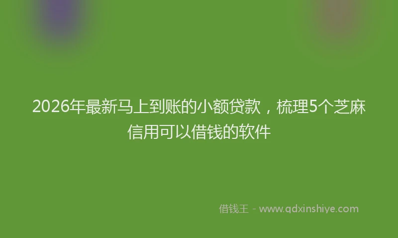 2026年最新马上到账的小额贷款，梳理5个芝麻信用可以借钱的软件