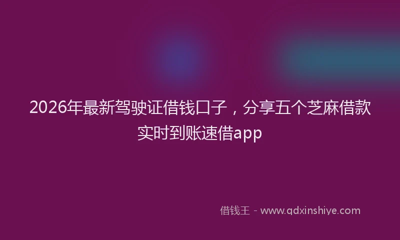 2026年最新驾驶证借钱口子，分享五个芝麻借款实时到账速借app