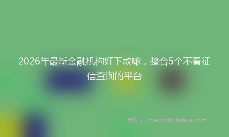 2026年最新金融机构好下款嘛，整合5个不看征信查询的平台