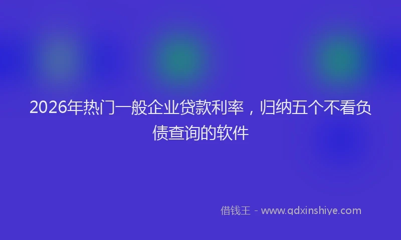 2026年热门一般企业贷款利率，归纳五个不看负债查询的软件