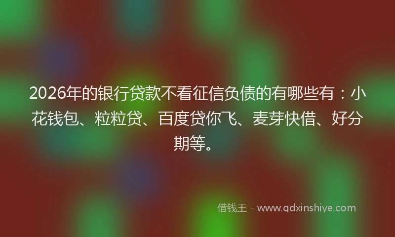 2026年的银行贷款不看征信负债的有哪些有：小花钱包、粒粒贷、百度贷你飞、麦芽快借、好分期等。