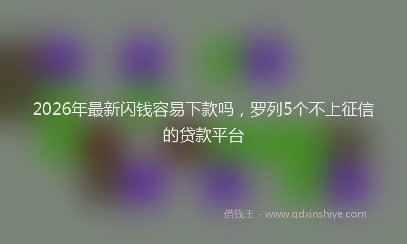2026年最新闪钱容易下款吗，罗列5个不上征信的贷款平台