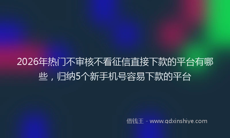 2026年热门不审核不看征信直接下款的平台有哪些，归纳5个新手机号容易下款的平台