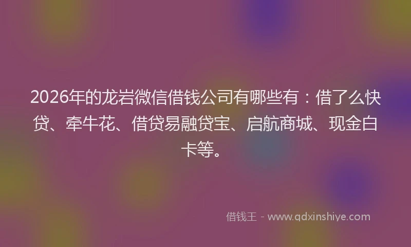 2026年的龙岩微信借钱公司有哪些有：借了么快贷、牵牛花、借贷易融贷宝、启航商城、现金白卡等。