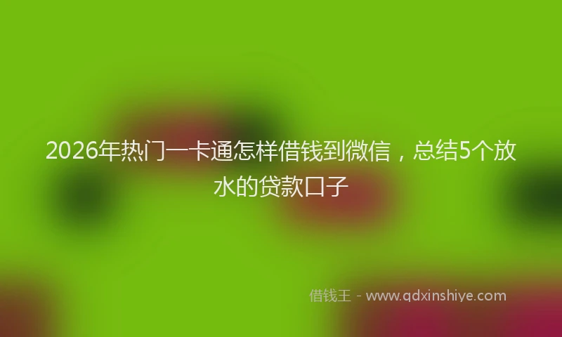 2026年热门一卡通怎样借钱到微信，总结5个放水的贷款口子
