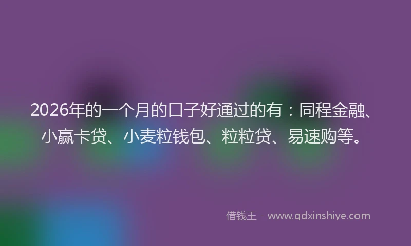 2026年的一个月的口子好通过的有：同程金融、小赢卡贷、小麦粒钱包、粒粒贷、易速购等。