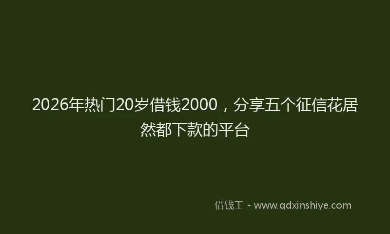 2026年热门20岁借钱2000，分享五个征信花居然都下款的平台