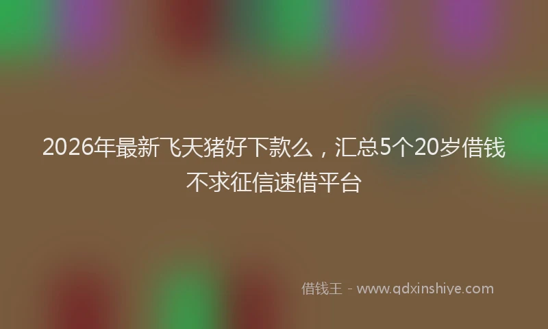 2026年最新飞天猪好下款么，汇总5个20岁借钱不求征信速借平台