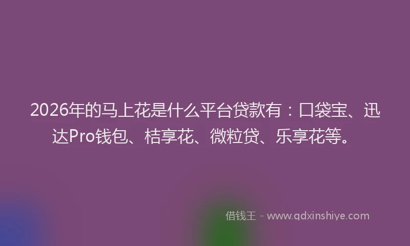 2026年的马上花是什么平台贷款有：口袋宝、迅达Pro钱包、桔享花、微粒贷、乐享花等。