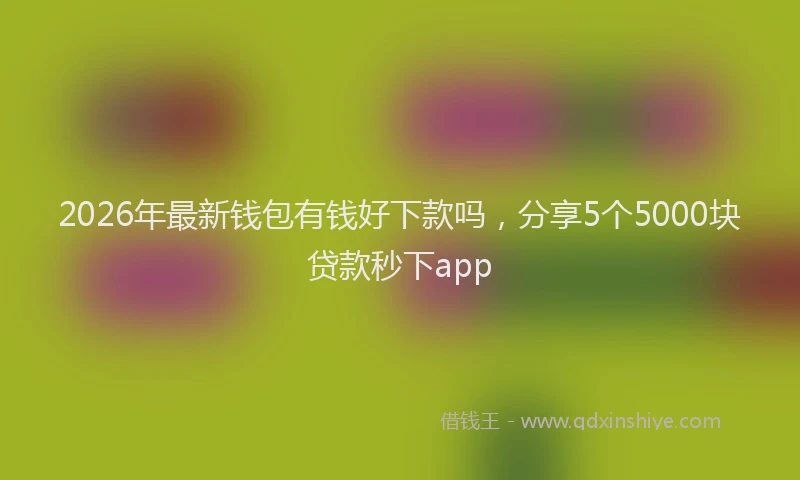 2026年最新钱包有钱好下款吗，分享5个5000块贷款秒下app