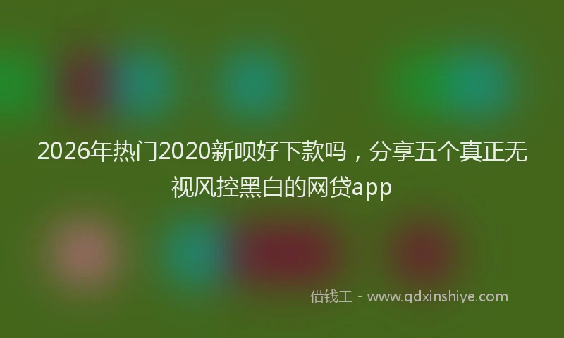 2026年热门2020新呗好下款吗，分享五个真正无视风控黑白的网贷app