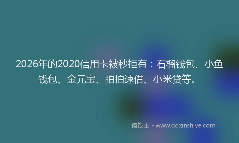2026年的2020信用卡被秒拒有：石榴钱包、小鱼钱包、金元宝、拍拍速借、小米贷等。