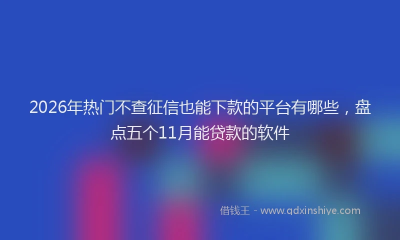 2026年热门不查征信也能下款的平台有哪些，盘点五个11月能贷款的软件