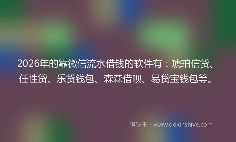 2026年的靠微信流水借钱的软件有：琥珀信贷、任性贷、乐贷钱包、森森借呗、易贷宝钱包等。
