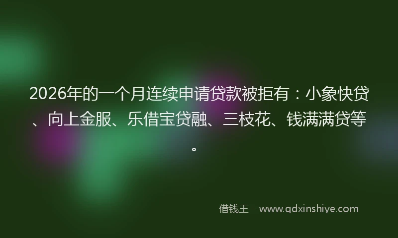 2026年的一个月连续申请贷款被拒有：小象快贷、向上金服、乐借宝贷融、三枝花、钱满满贷等。