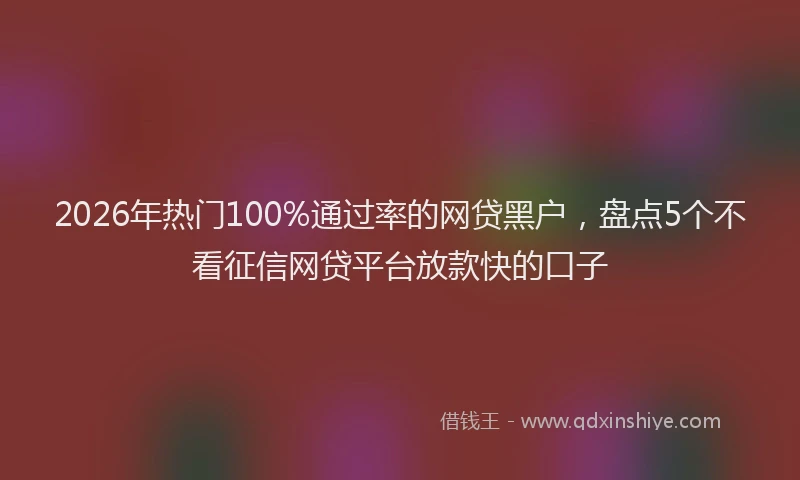 2026年热门100%通过率的网贷黑户，盘点5个不看征信网贷平台放款快的口子