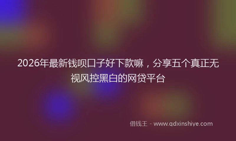 2026年最新钱呗口子好下款嘛，分享五个真正无视风控黑白的网贷平台