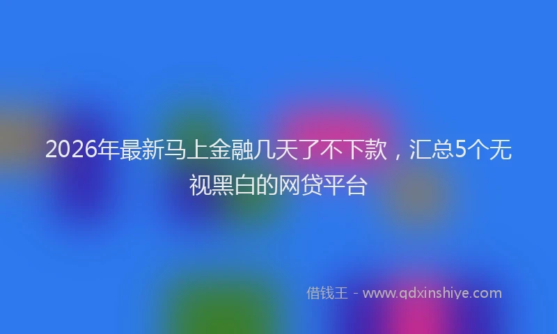 2026年最新马上金融几天了不下款，汇总5个无视黑白的网贷平台