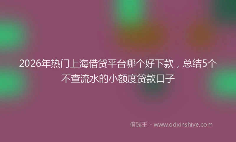 2026年热门上海借贷平台哪个好下款，总结5个不查流水的小额度贷款口子