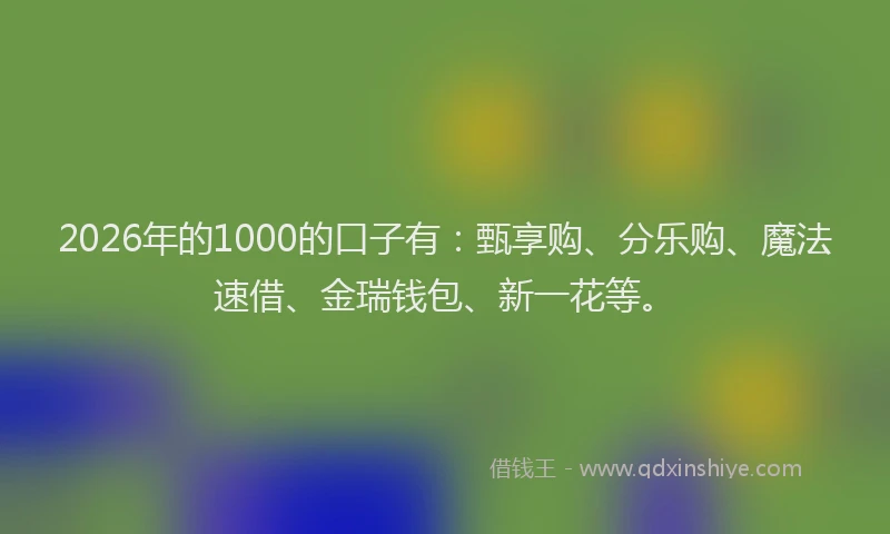 2026年的1000的口子有：甄享购、分乐购、魔法速借、金瑞钱包、新一花等。