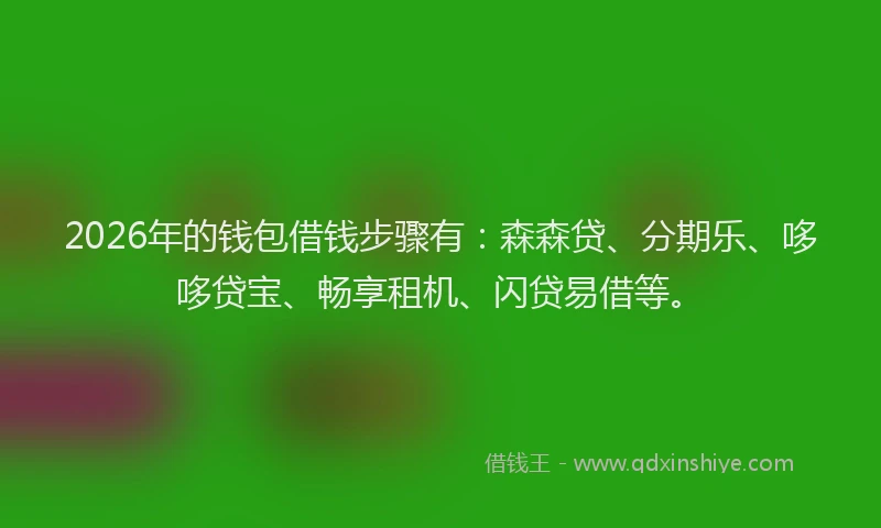2026年的钱包借钱步骤有：森森贷、分期乐、哆哆贷宝、畅享租机、闪贷易借等。
