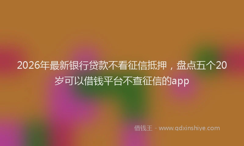 2026年最新银行贷款不看征信抵押，盘点五个20岁可以借钱平台不查征信的app