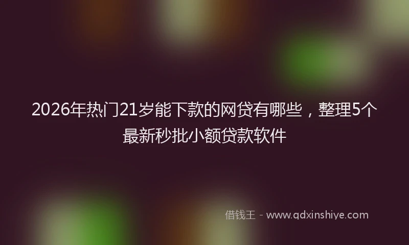 2026年热门21岁能下款的网贷有哪些，整理5个最新秒批小额贷款软件