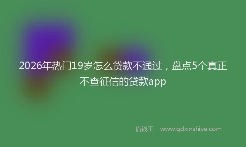 2026年热门19岁怎么贷款不通过，盘点5个真正不查征信的贷款app